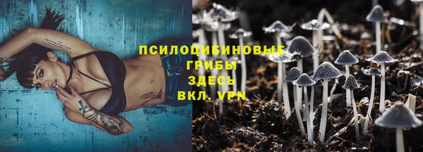 MDMA Premium VHQ Карталы