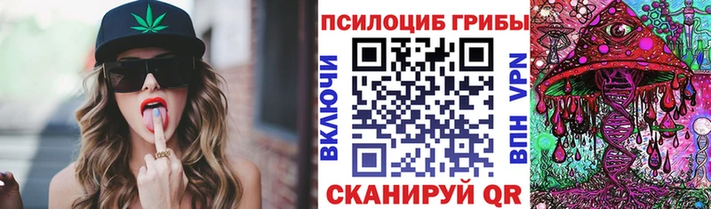 Купить  Камень-на-Оби  Галлюциногенные грибы MAGIC MUSHROOMS 